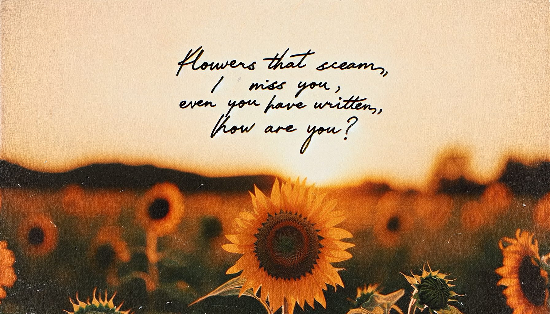 Маленькая история про подсолнух и терпение